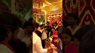 Chay shobitha marrige new coupleNagarjunashortsfeed shortsviral trending shorts [upl. by Onitnas572]