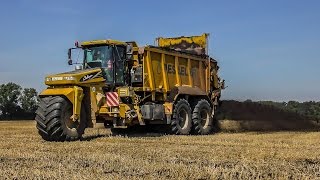 Challenger Terra Gator 9205  CAT  XXL Tractor  Kompost streuen [upl. by Enyahs876]