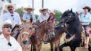 Cabalgata CON MULAS en OCONAHUA JALISCO [upl. by Lust]