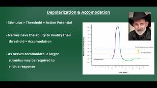 Introduction to Electrical Stimulation [upl. by Selry802]