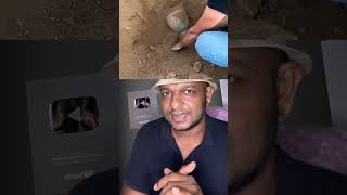 നിധി കാക്കുന്ന നാഗങ്ങൾ 🐍  Treasure under earthshorts mystery kerala malayalam nidhi viral [upl. by Neitsirhc637]