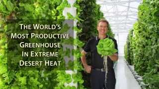 The World’s Most Productive Greenhouse in Extreme Desert Heat [upl. by Blood]