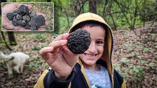 Tartufi Lov  Crni Tartuf  Truffle Hunting [upl. by Nnelg]