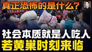 社會的本質就是「人吃人」！黃巢時刻若是來臨，真正恐怖的是什麽？ [upl. by Amsab]