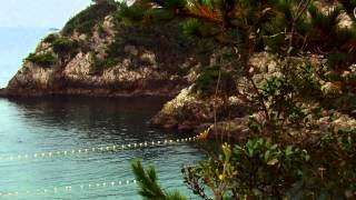 The Cove  Official® Trailer HD [upl. by Nyledam]