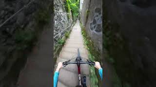 He keeps going on and on 🚲😲 DJI Action 2 🎬 Mtbtvarabic mtb downhill [upl. by Ailen]