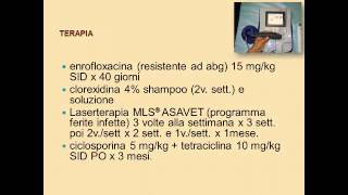 Pastore tedesco con piodermite infezione e dermatite [upl. by Noy]