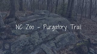 NC Zoo  Purgatory Trail Asheboro NC [upl. by Englis]