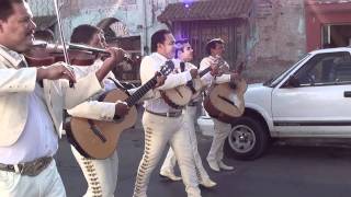 La Guadalupana Mariachi Continental de la Laguna [upl. by Nwahc957]