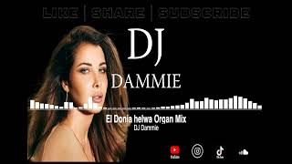 El Donia Helwa  Organ Mix  Nancy Ajram  DJ Dammie [upl. by Maxwell]