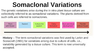 Somaclonal variation Definition History Reason application somaclone selection of somaclone [upl. by Ecenaj]