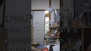 柴咲コウ曲形あるもの耳コピ３日音合わせ四回少しちがうかもですがなんとかできたかな [upl. by Heller961]