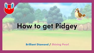 How to get Pidgey in Pokémon Brilliant Diamond amp Shining Pearl 016 [upl. by Harris]