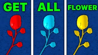 All Flower Locations to get Race V2  Blox Fruits  2024 [upl. by Cheyney]