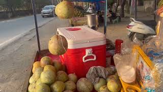 Famous Bael Fruit juice  Harvinder Choudhary  Sector  21D Faridabad  Nitin PoPular [upl. by Yrekcaz]