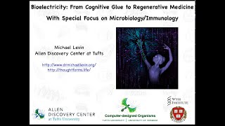 A 1 hour lecture on bioelectricity for a department of parasitologyimmunology by Michael Levin [upl. by Calisa]