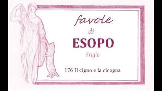 Favole di Esopo Frigio  176  Il cigno e la cicogna [upl. by Susy]