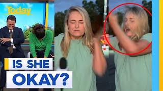 Reporter slaps herself trying to hit fly  Today Show Australia [upl. by Eenrahc370]