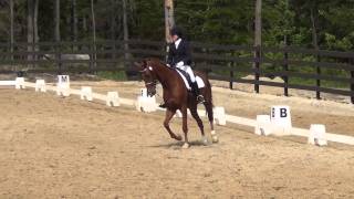 Reprise dressage 4 ans Louxor de Lys amp Emmanuelle Bressan Mascouche Québec 7 juin 2015 [upl. by Gaidano]