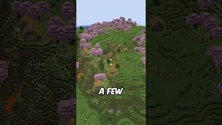 THIS IS A MUST TRY SEED FOR MINECRAFT minecraft bestbrokenseeds mcyt seeds [upl. by Most]