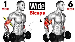 5 Best Exercise For Wider Biceps [upl. by Nessah]