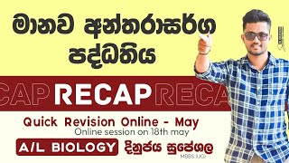 අන්තරාසර්ග පද්ධතිය  Endocrine system  Hormones  හෝමෝන RECAP advancedlevel biology paperclass [upl. by Eleonora]