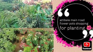 attibele main road flower pots shopping for planting 🌺🌺 [upl. by Alper141]