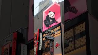 tokyo shibuya panda japan🇯🇵 jas explorer [upl. by Fechter]