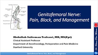 Genitofemoral Nerve Pain Block and Management [upl. by Ylekalb]