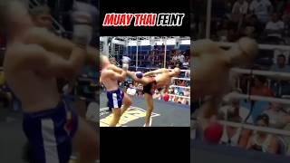 Muay Thai feint and side kick 🐉 muaythai mma fighter karate [upl. by Caldwell]