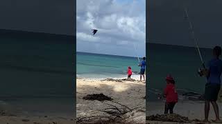 Catching fish at Dover Beach Barbados St Lawrence Gap near Ocean Restaurant [upl. by Glory]