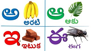 తెలుగు వర్ణమాల  అ అమ్మ అ అరటి  Telugu Varnamala  Telugu Aksharalu for kids 2024 [upl. by Suirauqed488]