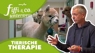 TGI Wenn Tiere therapieren  Fiffi amp Co unterwegs  MDR um 4  MDR [upl. by Grider768]