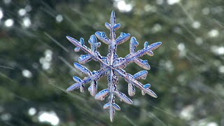 Capturing the Beauty of Snowflakes  HighSpeed Camera Reveals Secrets of Ice Crystals [upl. by Ralina]