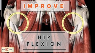 MULTIPLE SCLEROSIS EXERCISE  Strengthen HIP FLEXION [upl. by Bohi]