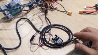 Testing Temperature Sensor DS18B20 [upl. by Bloch]