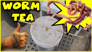 WORM CASTING or COMPOST TEA  ROCKET FUEL For Your Plants [upl. by Aleac138]