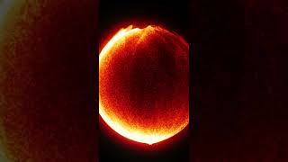 5 billion Suns could fit in UY Scuti one of the biggest known stars physics science cosmos [upl. by Dahcir]