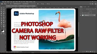 PHOTOSHOP CAMERA RAW FILTER NOT WORKING  SOLVED [upl. by Kellina]