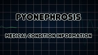 Pyonephrosis Medical Condition [upl. by Enilrae]