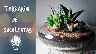 DIY Tutorial Terrario de suculentas en pecera de cristal [upl. by Nylodnarb]