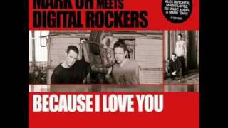 Digital Rockers  Because I Love You Mario Lopez Remix [upl. by Lennod61]