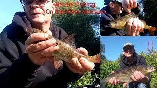 Barbel Fishing On The River Wensum Part 1 [upl. by Ahsatam606]