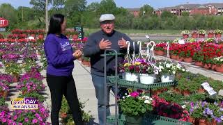 Mothers Day Hanging Baskets [upl. by Ibmat]