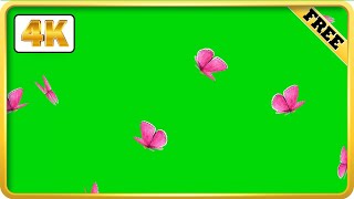 Pink Butterfly Flying Green Screen video loops [upl. by Anitsirt669]