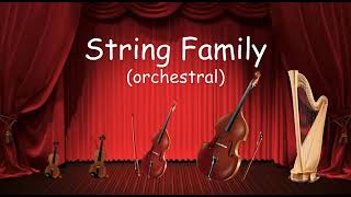 The String Family  Listen to the instruments of the strings family  Orchestra for Kids [upl. by Berrie74]