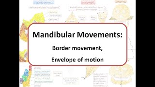 Mandibular movements Border movements and Envelope of Motion [upl. by Clynes]