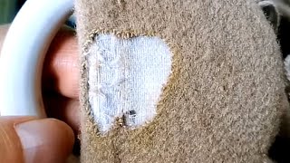 How to Invisibly Repair the Holes in a Cashmere Coat at Home with a Sewing Needle [upl. by Morette]