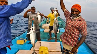 Deep sea fishing video  Fishing focus [upl. by Kelda]