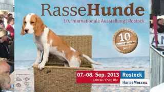 Internationale RasseHundeAusstellung Rostock 2013 [upl. by Ecerahs]